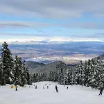 Mountain Delight, *