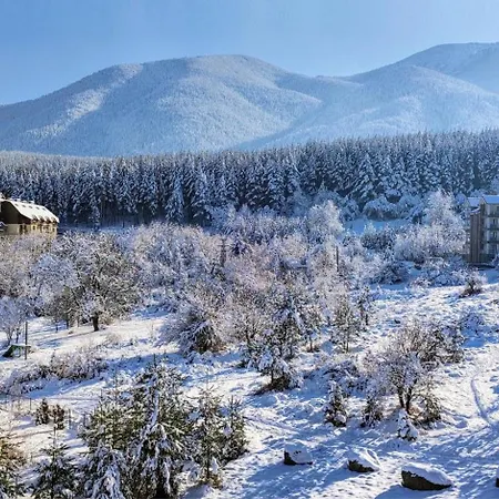 Mountain Delight, *