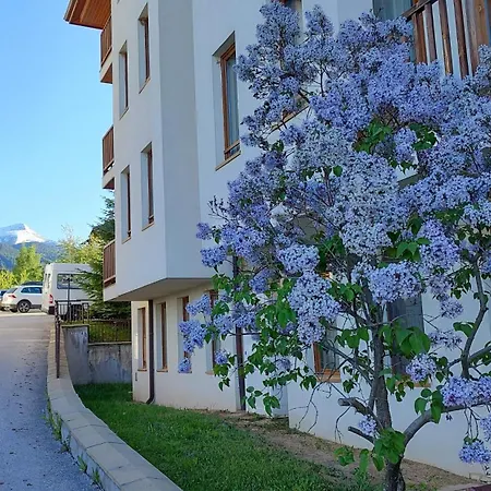Apartament Mountain Delight,