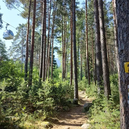 Mountain Delight, Apartament *