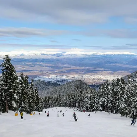 Mountain Delight, *
