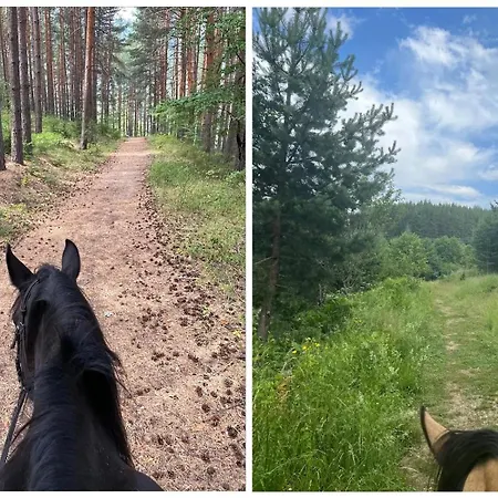 Mountain Delight, Apartamento