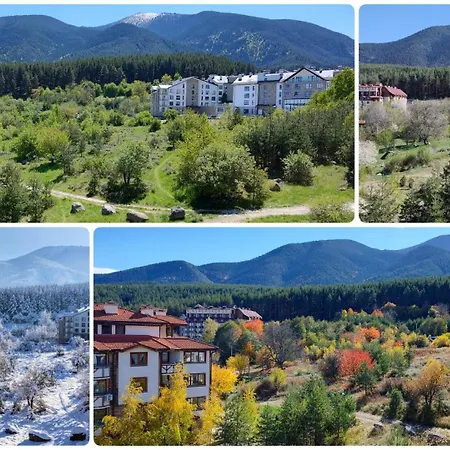 Mountain Delight, *