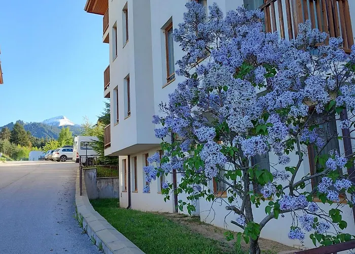 Apartament Mountain Delight,