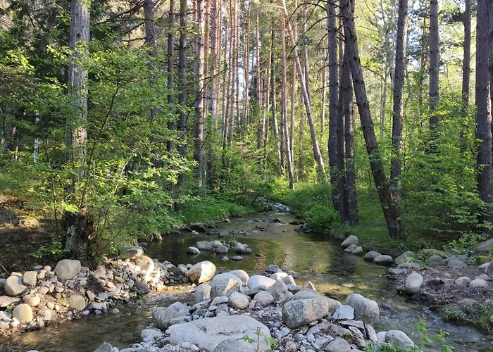 Mountain Delight, Bansko