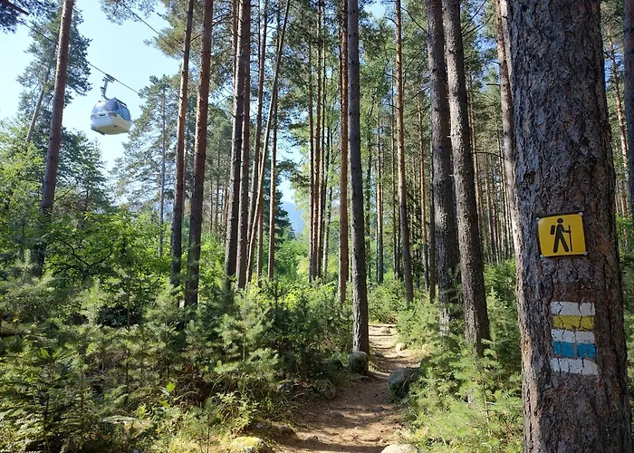 Mountain Delight, Apartament *