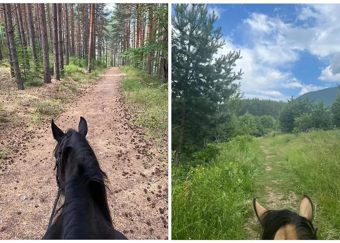 Mountain Delight, Appartement